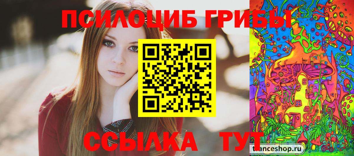 Псилоцибиновые грибы прущие грибы  Псилоцибиновые грибы GOLDEN TEACHER  Старая Купавна  Вход с VPN 
